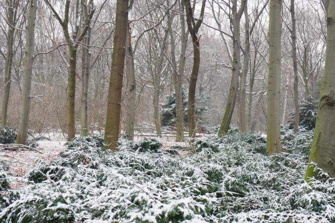 snowy-berlin-tiergarten