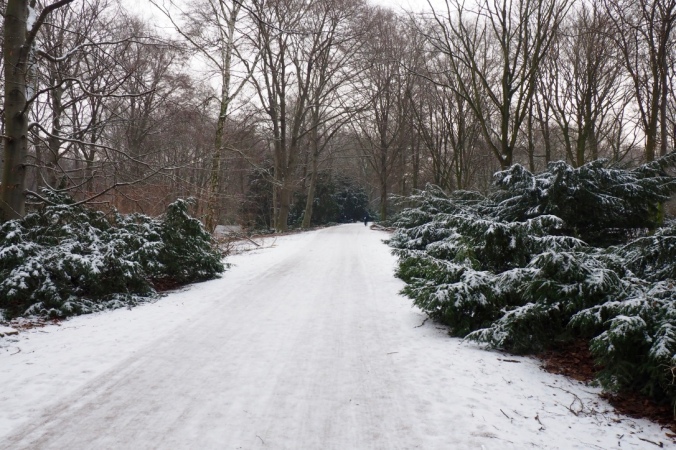 wintery-walk-in-tiergarten